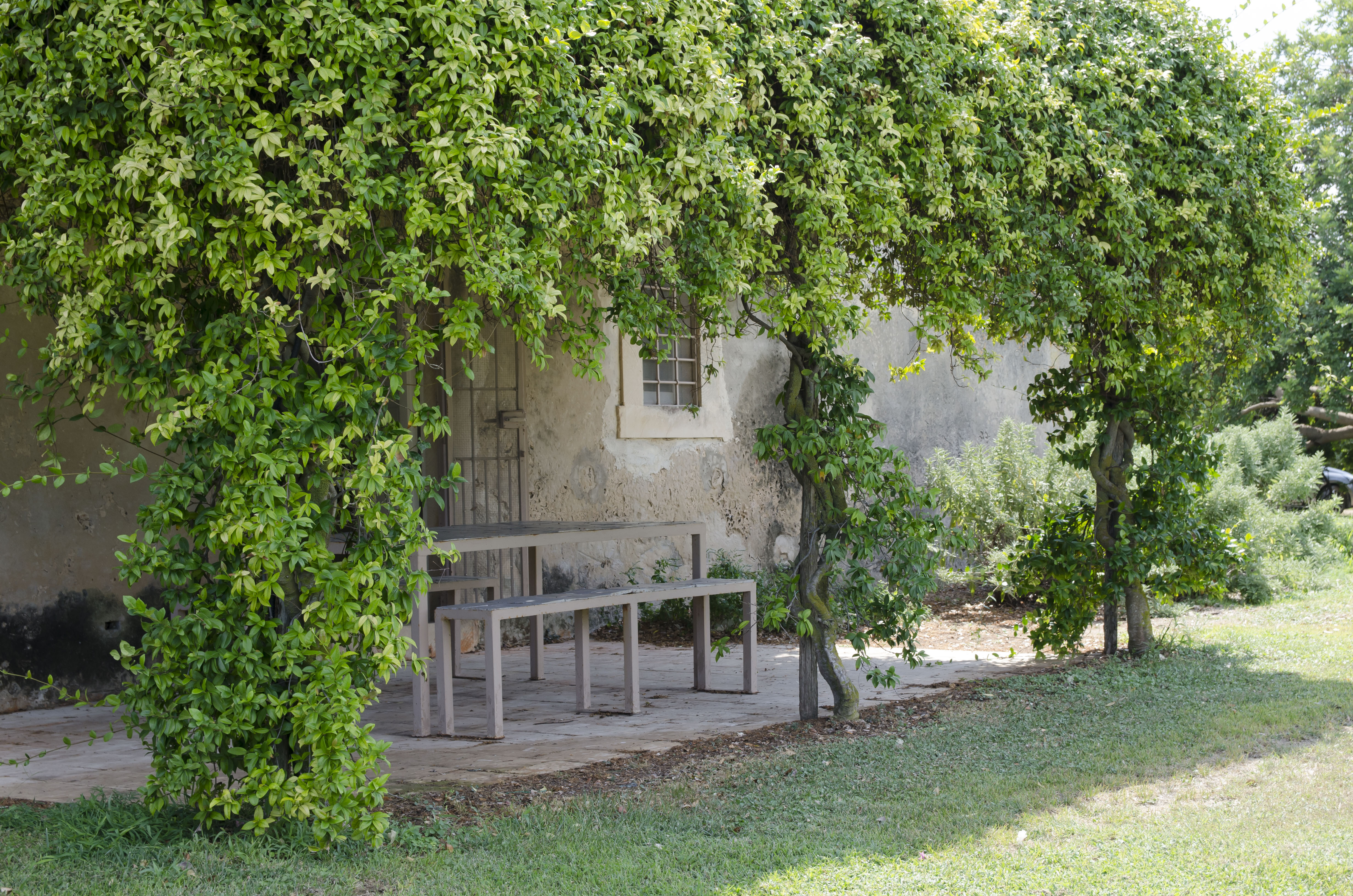 Il Baglio di Vendicari乡村民房-10