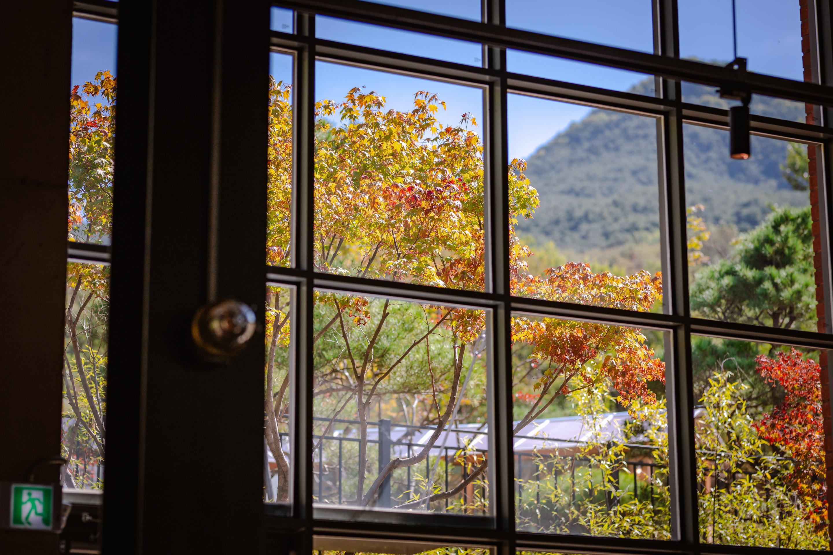 大邱琵瑟山多克比克咖啡总店-37