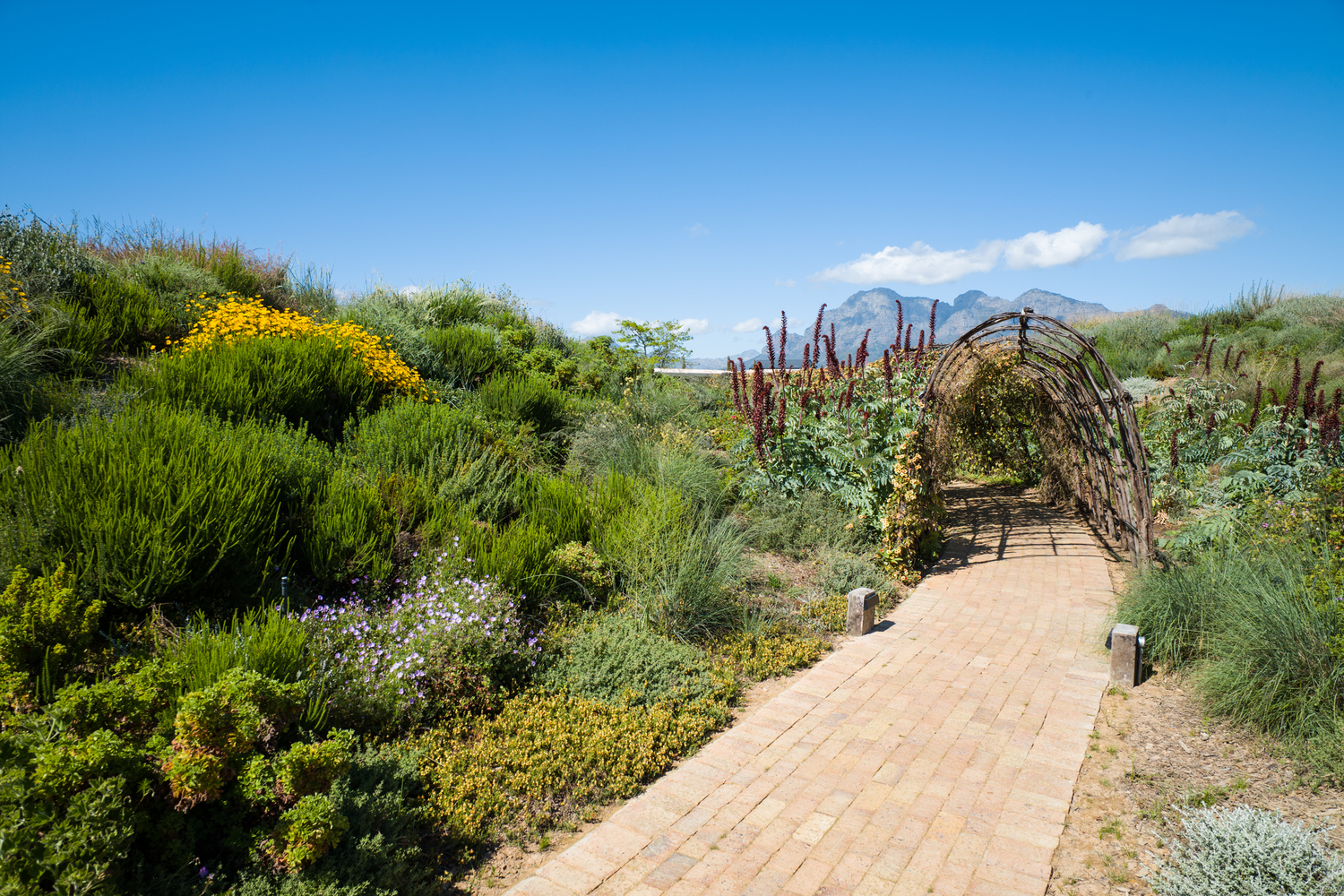 Green School South Africa 校园设计丨南非丨GASS Architecture Studios-59