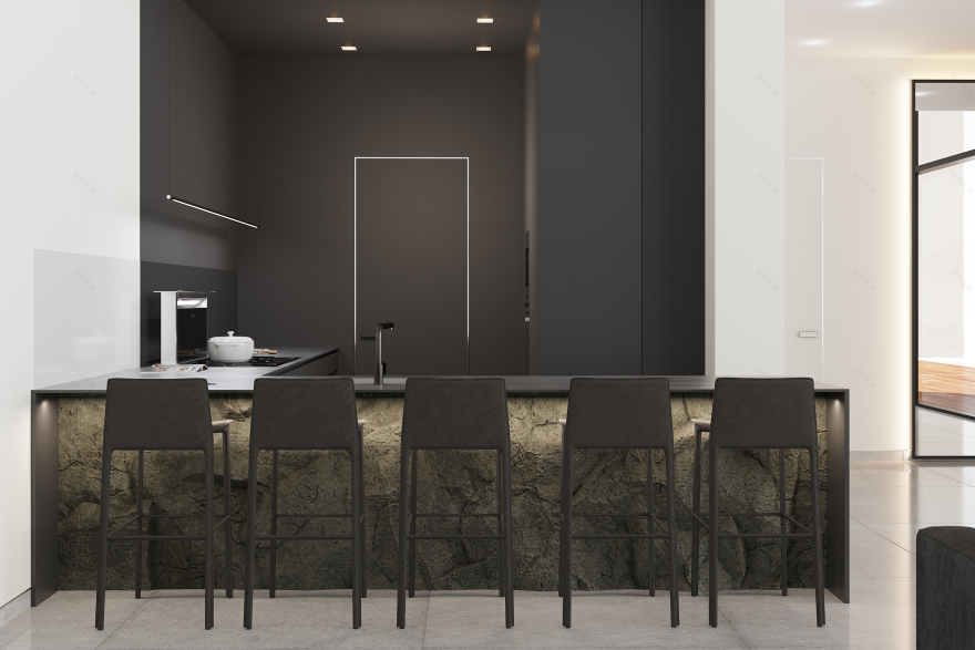 黑色版房屋室内装饰丨Golub Architects-17