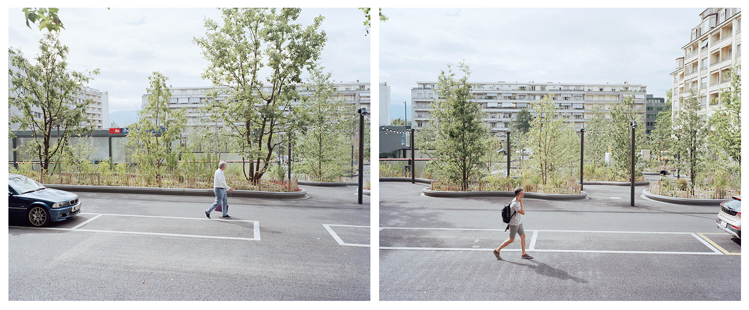 7000 Oaks 与城市生态共生的艺术设计-52