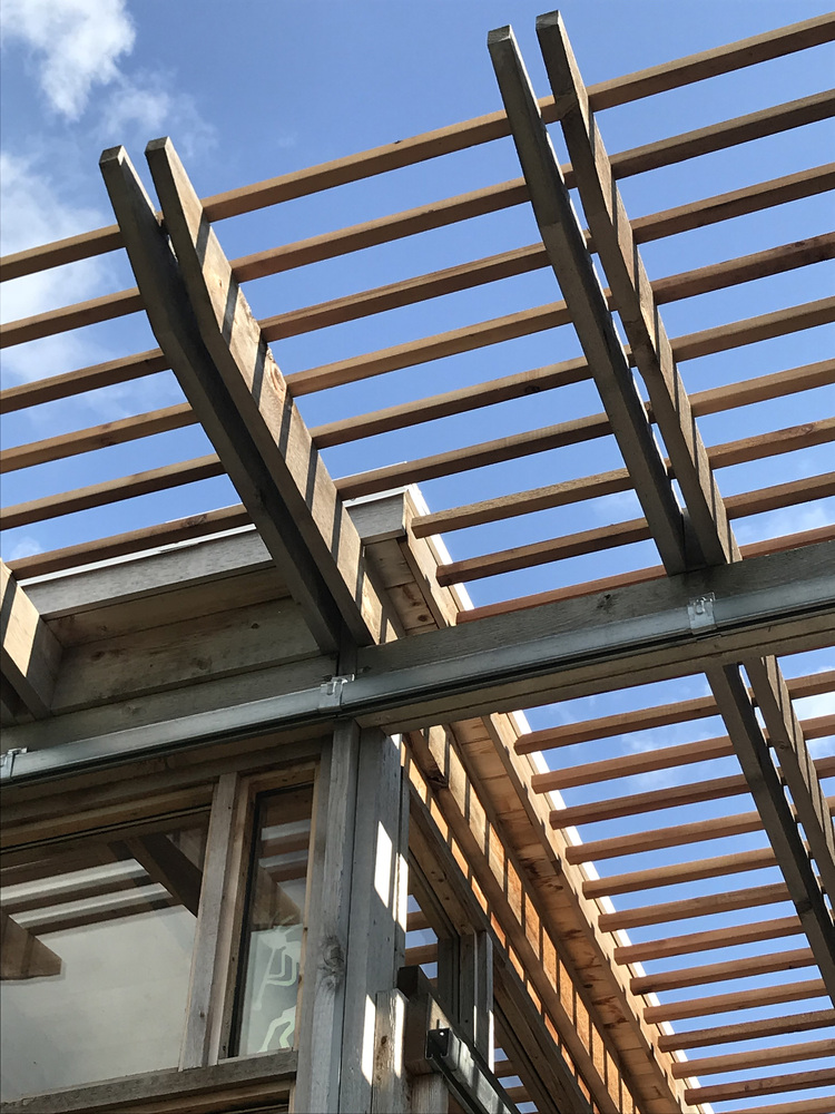 爱荷华州玻璃小屋，环保设计融入大自然-67