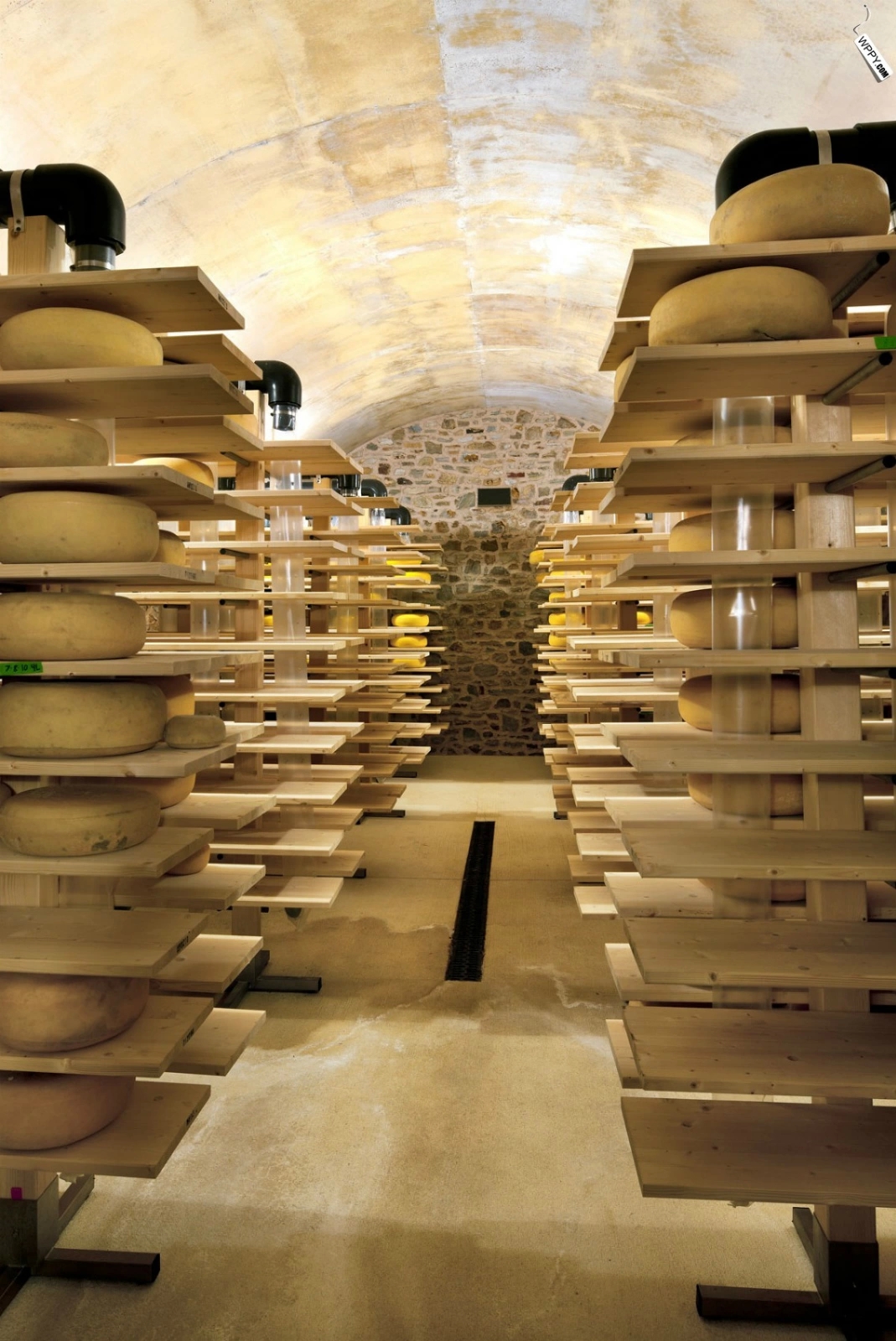 美国宾夕法尼亚的乡村住宅-5