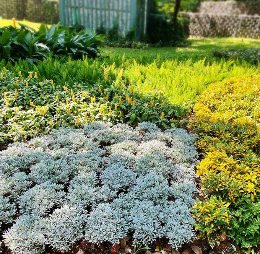 深圳福田侨香路景观提升丨中国深圳丨深圳文科园林股份有限公司-59