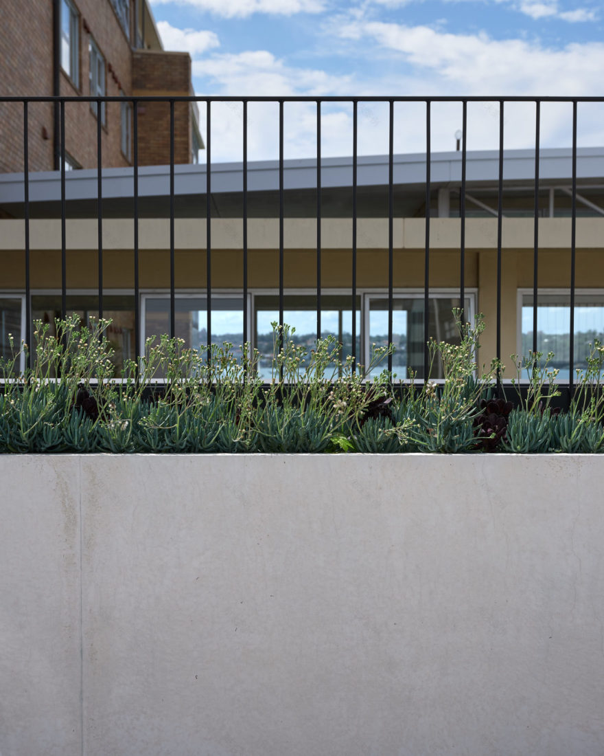 丨澳大利亚新南威尔士-8