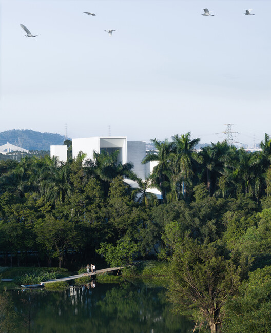 顺德云鹭湿地博物馆丨中国佛山丨Link-Arc建筑事务所-46