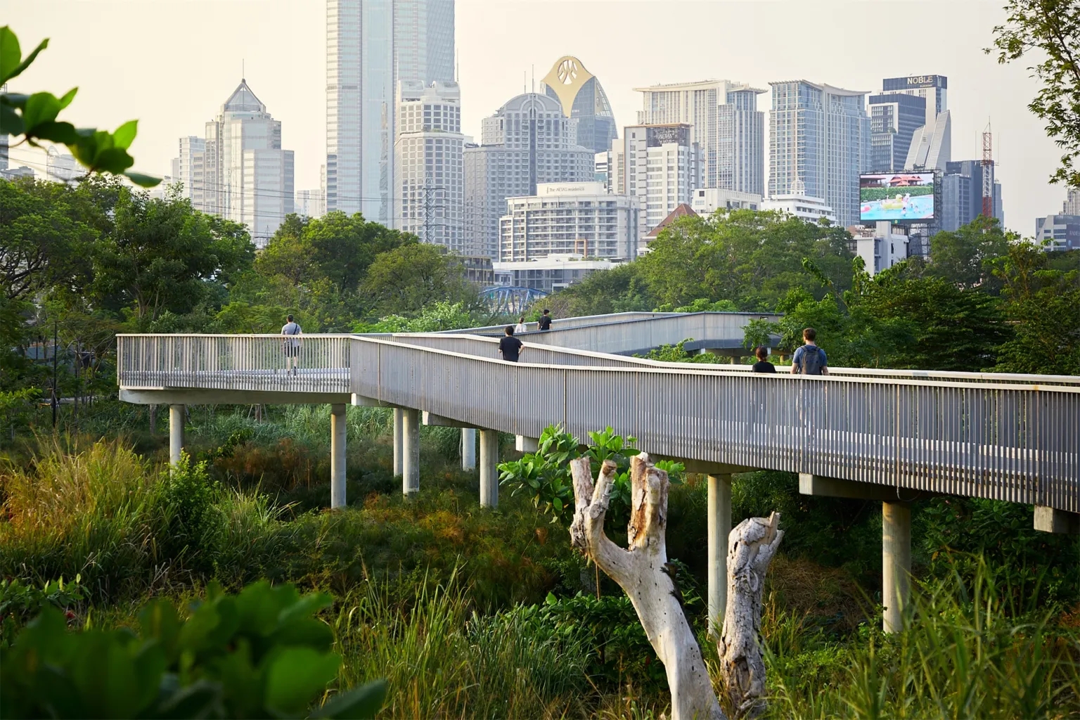曼谷班加科特森林公园丨泰国曼谷丨土人景观-21