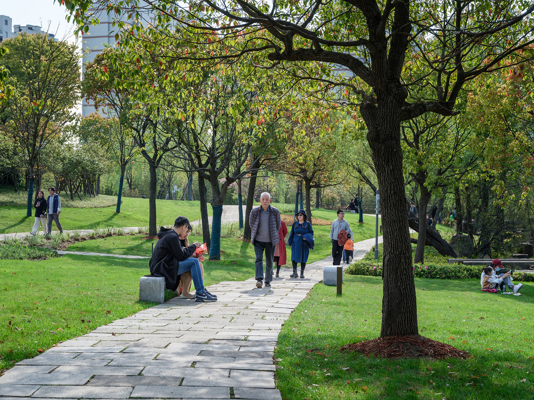 上海浦东牡丹园改造丨中国上海-28