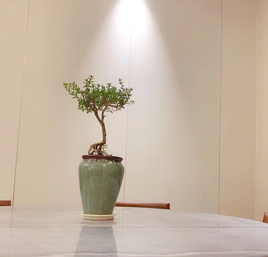 纯粹设计教育总公司丨中国广州-8