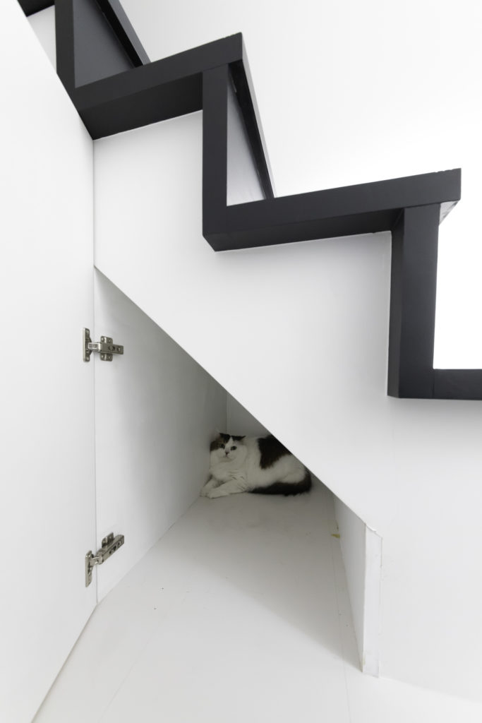 猫たちのお気に入りがいっぱい 適度な距離感で住まう大人4人と猫6匹の快適生活 | Architecture | 100%LiFE-8