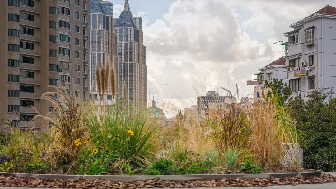 百禧公园 (Caoyang Centennial Park)-45