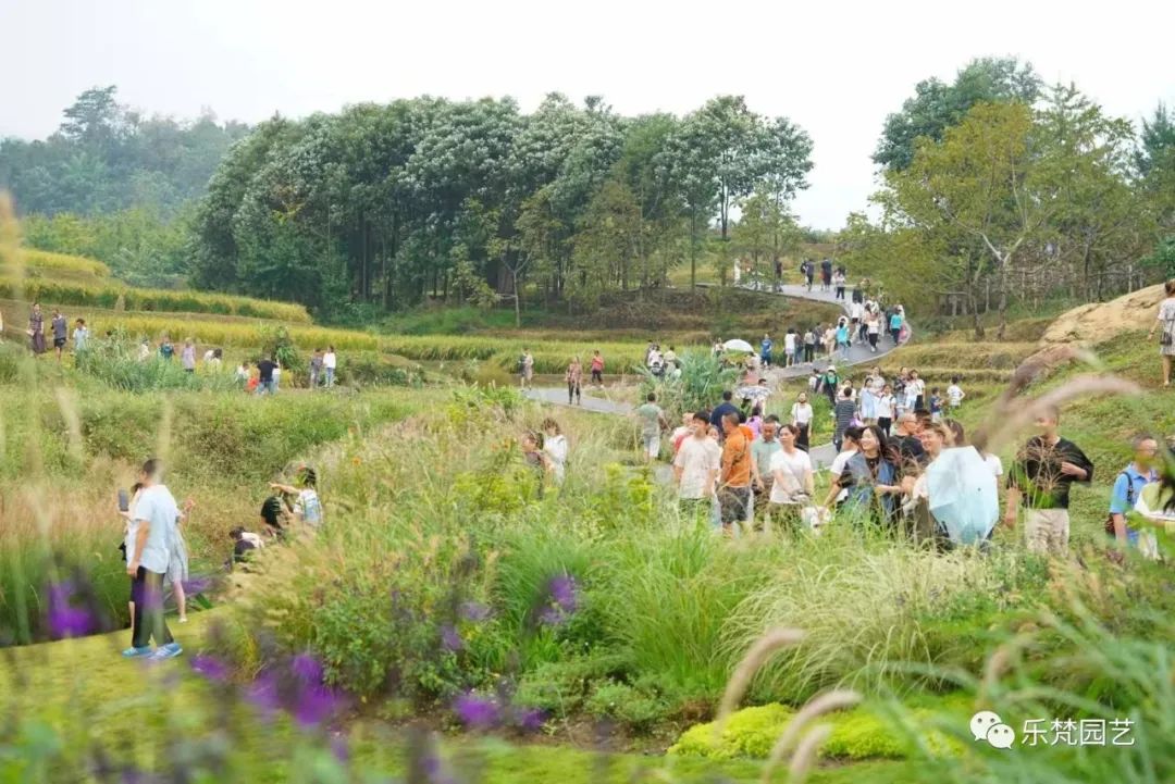 峨眉山恒邦高桥里花境营造丨中国眉山丨成都乐梵缔境园艺有限公司-111