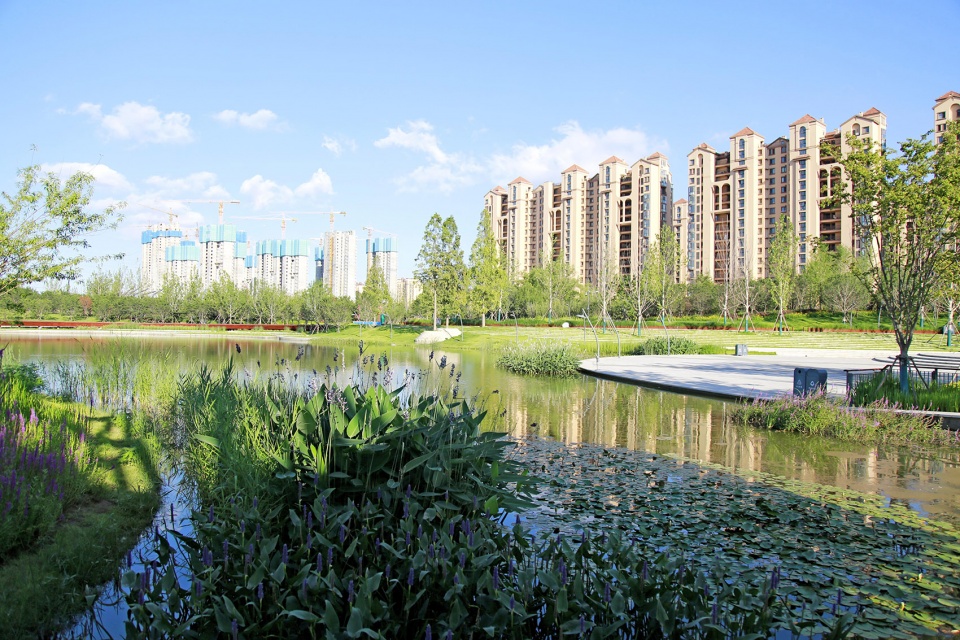 胶梦水韵(胶州三里河公园中央商务区段1标段)-156