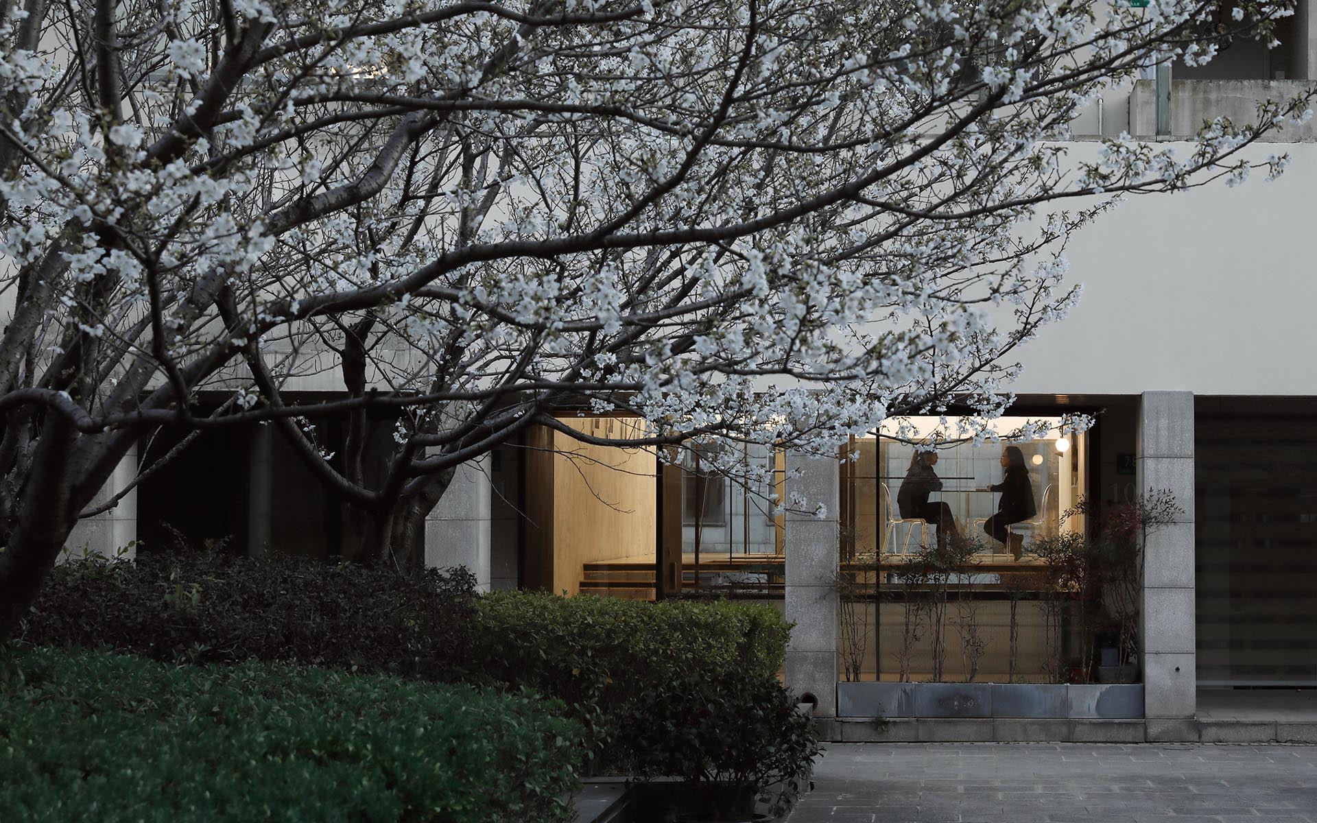 
                    Core of Impatience                -0