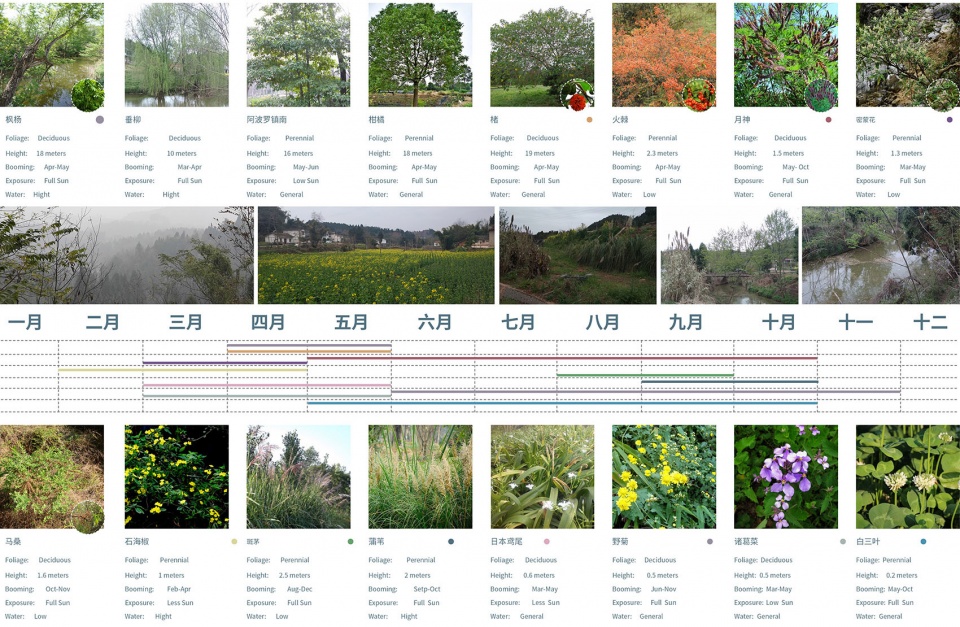 二次激活 | 德阳市高槐村乡村振兴总体规划-37