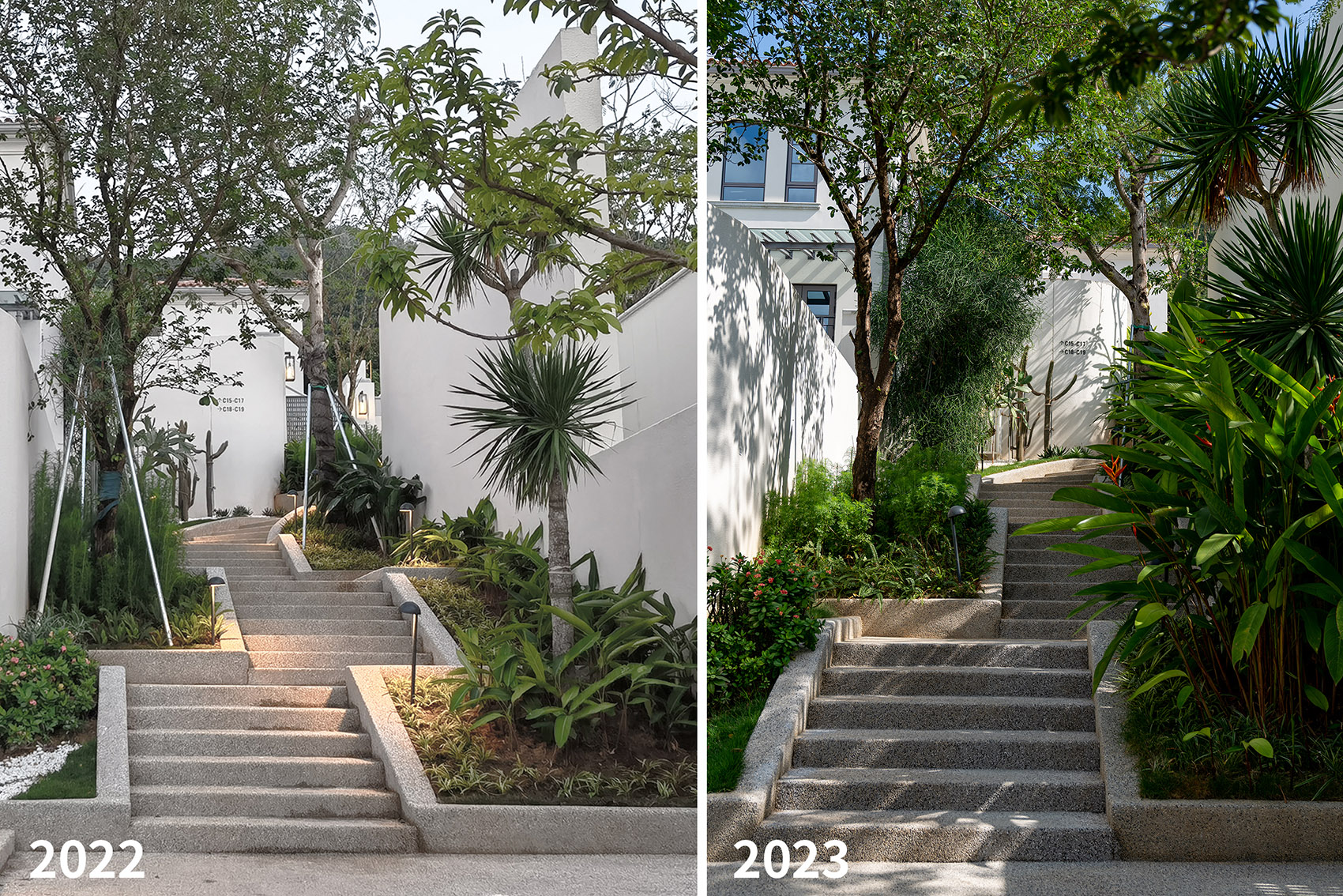 阿那亚三亚南花园丨中国三亚丨Z’scape致舍景观-198