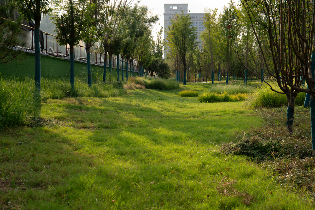 渭南市车雷公园（一期）及地下停车场丨中国渭南丨清华大学建筑设计研究院有限公司-94