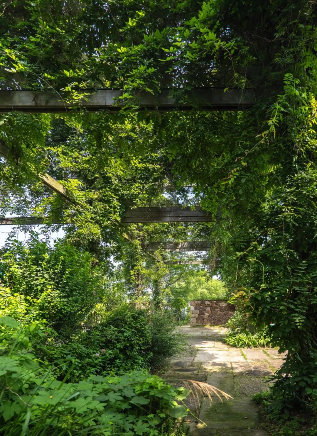 内建築作品｜自然织补的太湖漫山岛-17