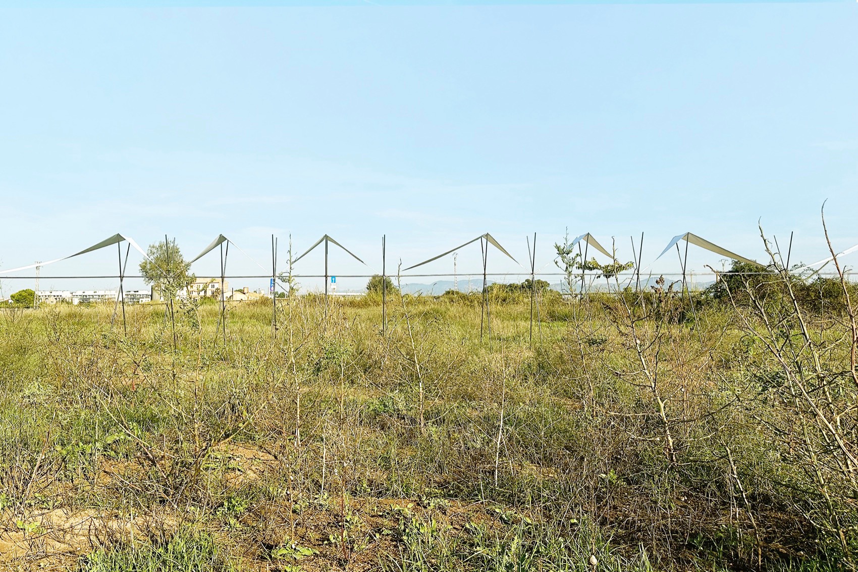 地平线展馆丨厄瓜多尔丨Eletres Studio-147