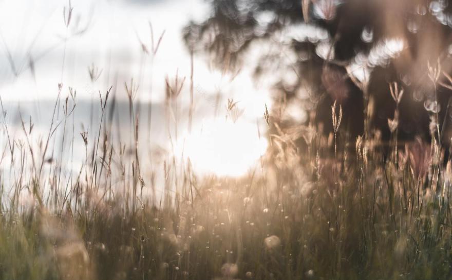 都会“呼吸”大堂的重塑丨中国中山丨P A L DESIGN GROUP-7