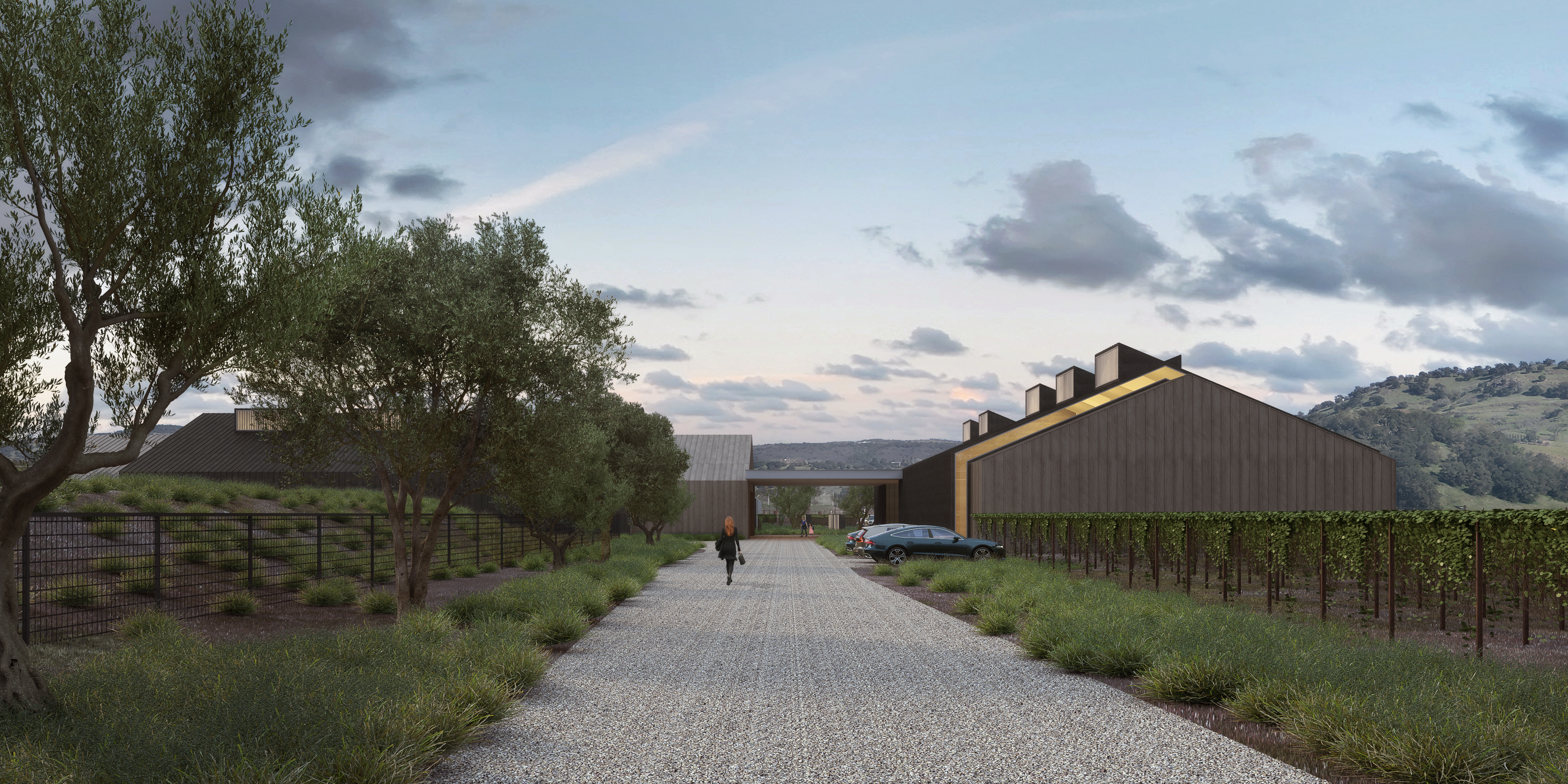 扬特维尔酒庄丨美国加利福尼亚丨Signum Architecture-11