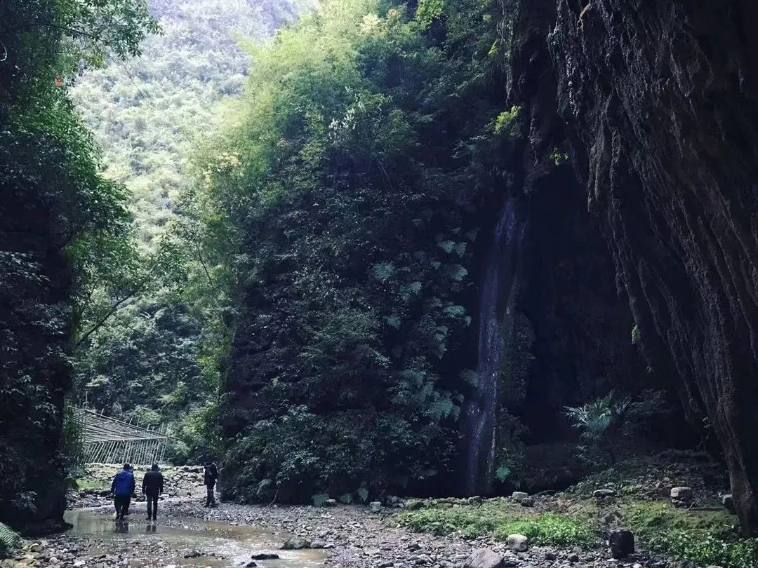 小十二秘境·方舟丨中国遵义丨Wutopia Lab-13