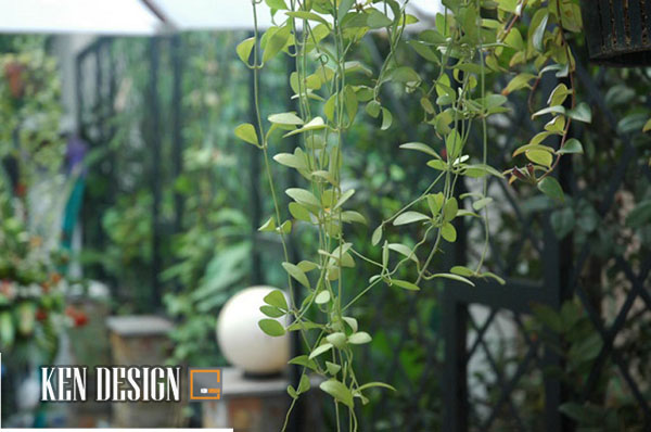 Cafe Mây - Thiết kế quán cafe sang trọng hiện đại-11