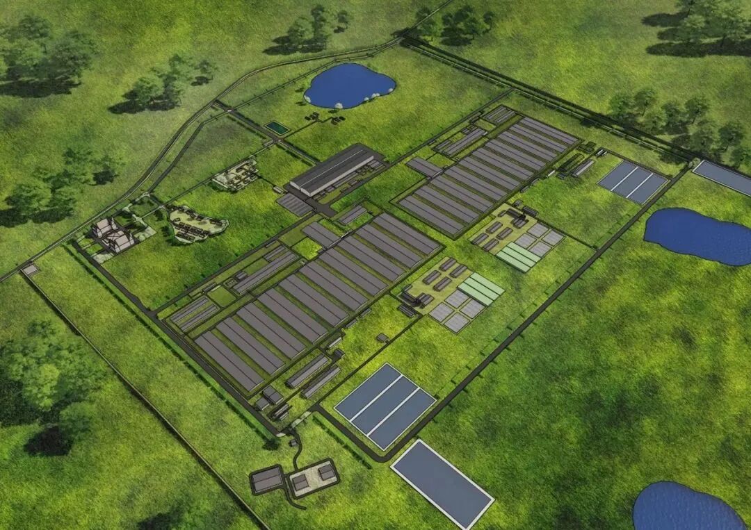 东南亚奶牛有了“中国造”新家！中建八局这个项目竣工交付-7