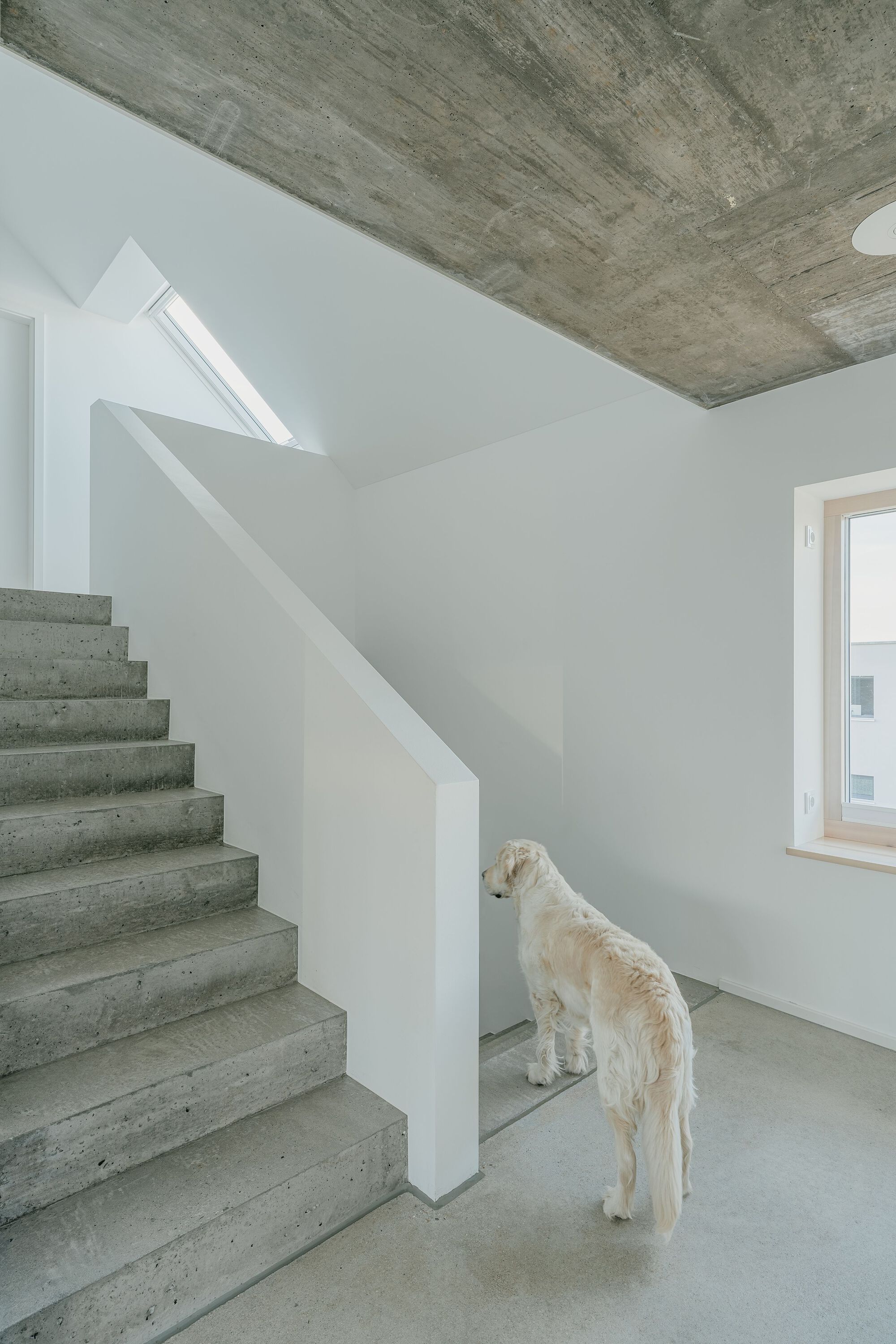 国际摄影测量与遥感学会大楼丨德国丨Sascha Wurm Architektur-28