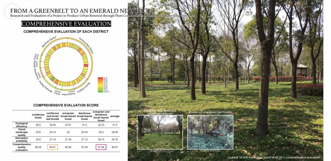 上海外环林带植物群落评估与更新研究 | 从绿带到珍珠项链-45