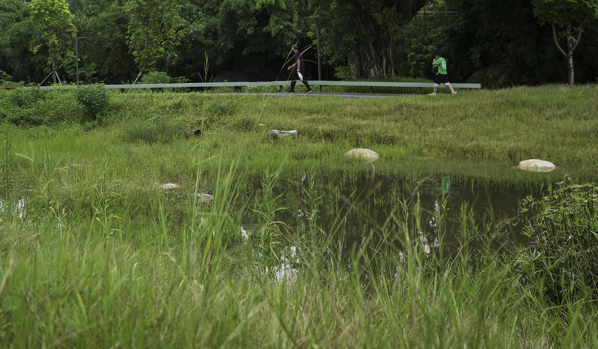 深圳光明虹桥1958生态公园丨中国深圳丨深圳自组空间,深圳市建筑科学研究院股份有限公司-55