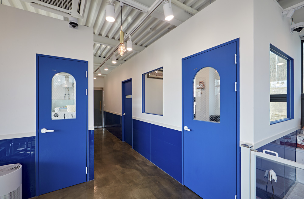 室内装饰的极致展现-11