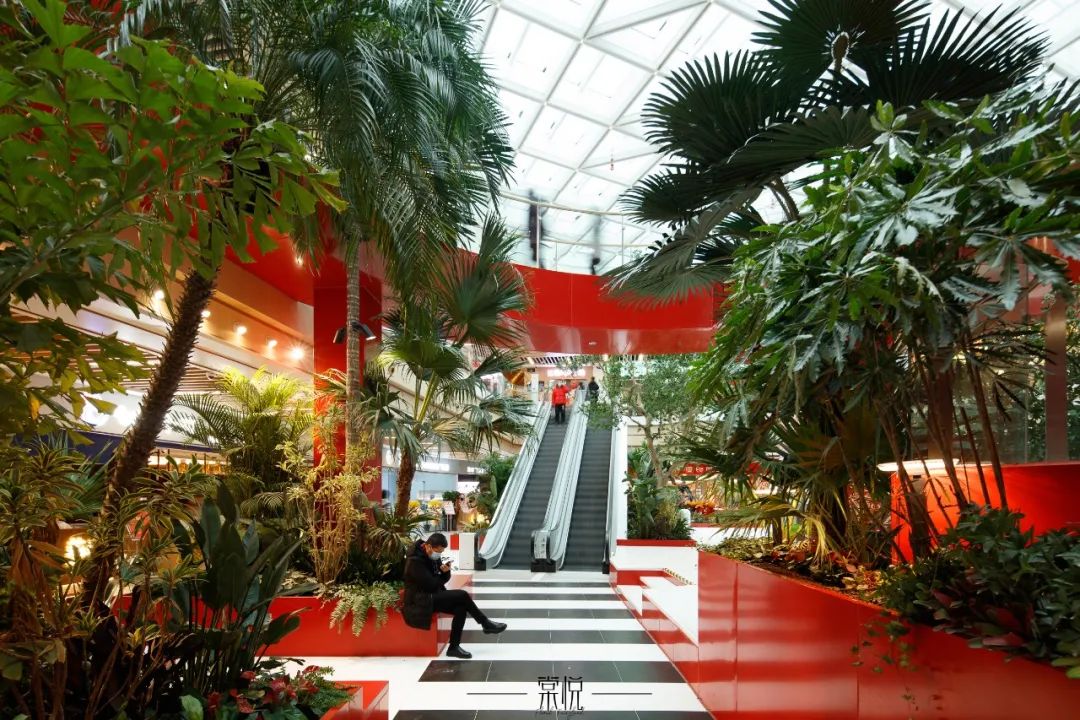 岛城丛林探险丨青岛万科未来城商业室内景观营造-56