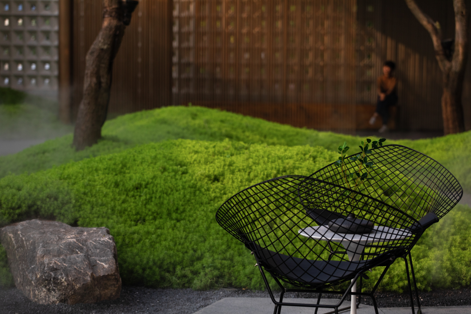 香港置地卓越集团·林山郡-59