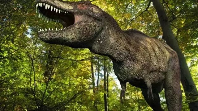 《Science》公布的 125 个最具挑战性的科学问题,你感兴趣的是哪个?-220