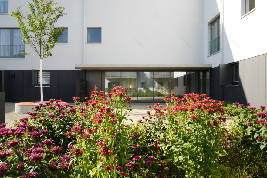 德国因戈尔施塔特“Hinteranger”社区绿化设计-9