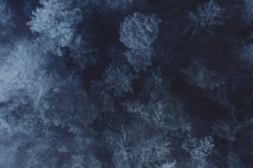 Bidding on these haunting photographs of Switzerland can help save the planet-4