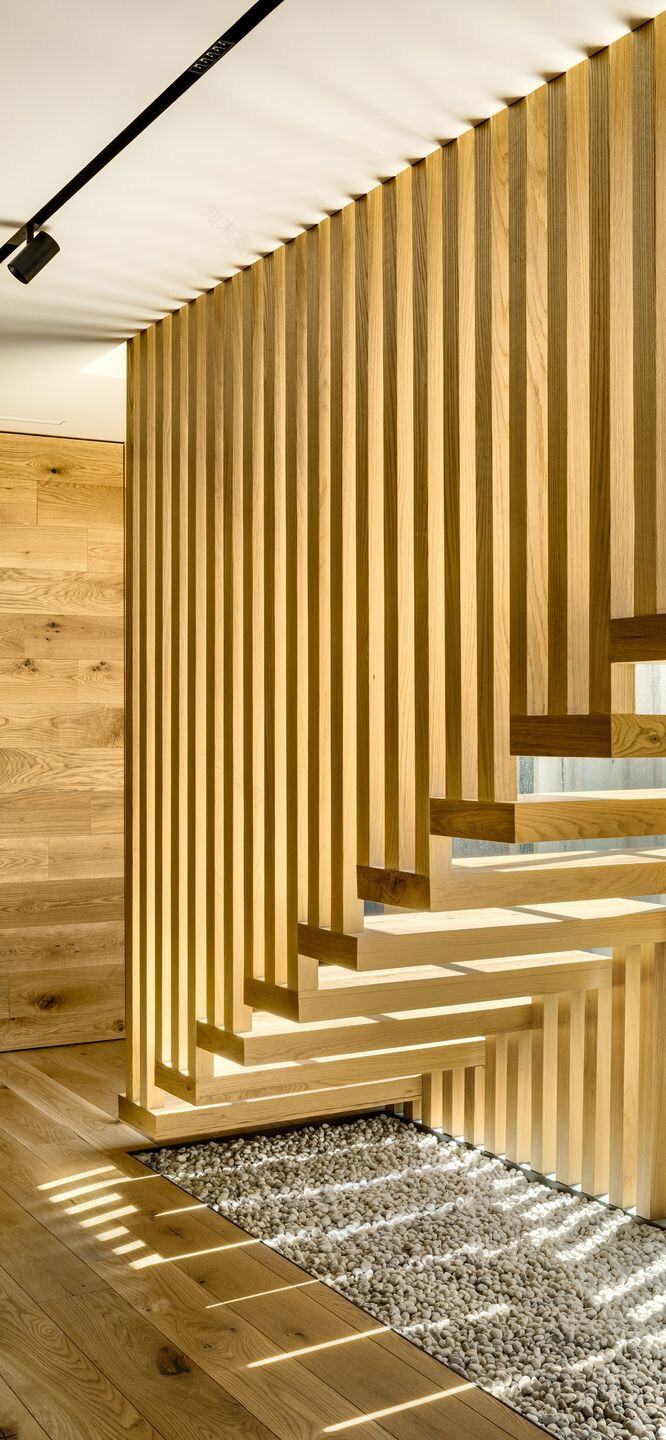 墨西哥城现代公寓的室内设计演绎-18