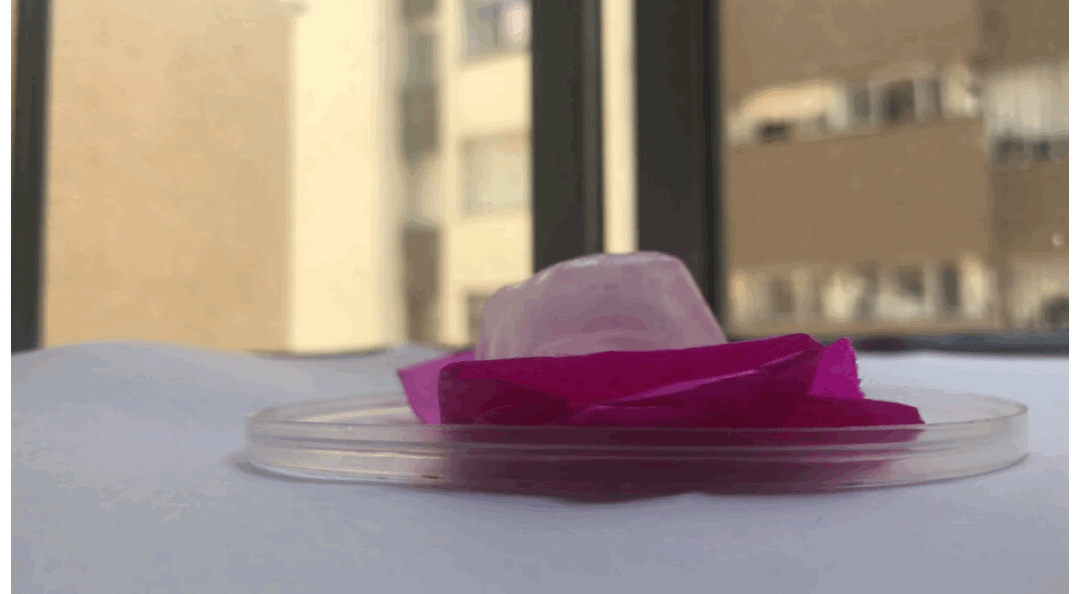 空间与自然元素-25