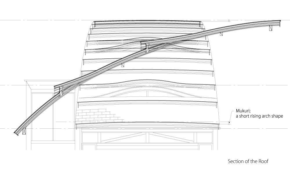Zushi 住宅丨日本丨Rei Mitsui Architects-39