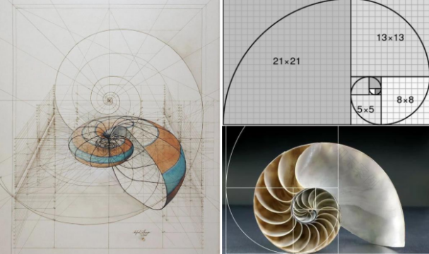 朗拾生活艺术馆丨中国南京丨上海日清建筑设计有限公司-80