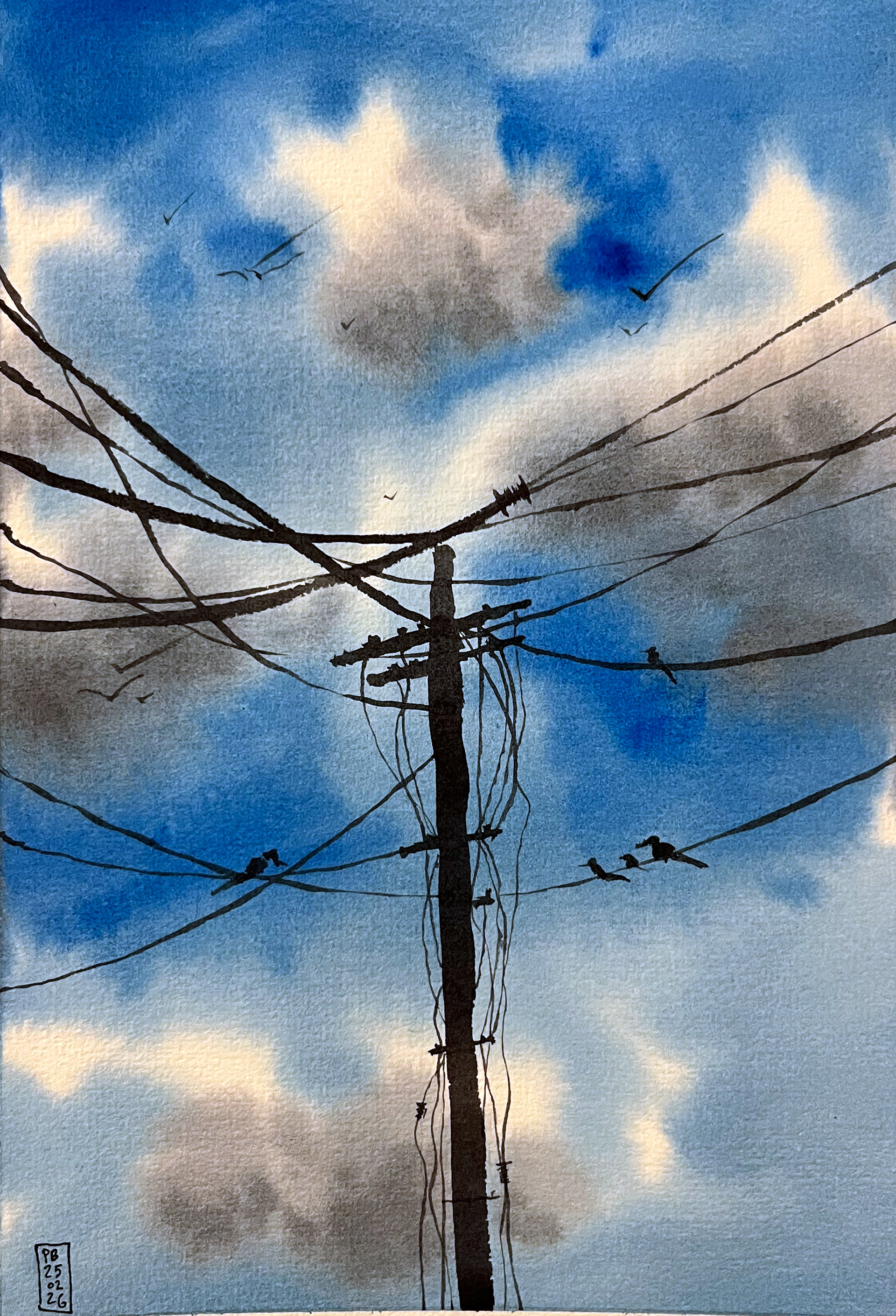 Les Fenêtres qui parlent - Exposition 2026-26