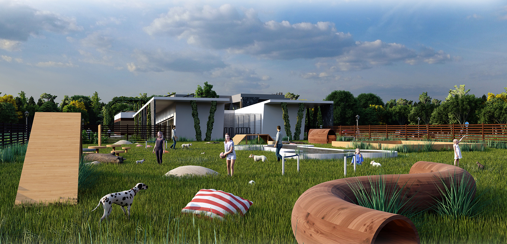 Veterinary clinic with a shelter for dogs and cats-4