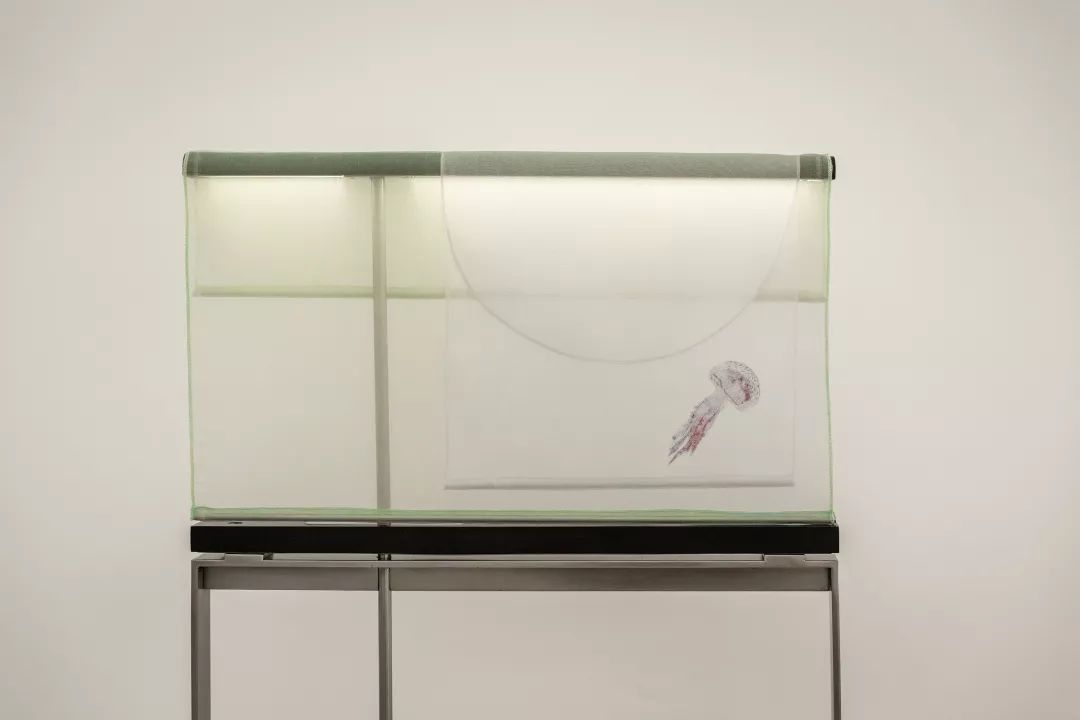 无华 · 卢志荣作品展-68