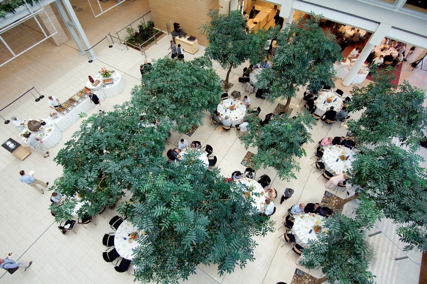 南非开普敦国际会议中心-23