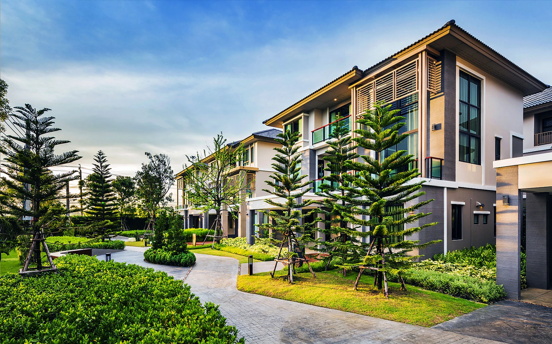 植物精英和帕森-37