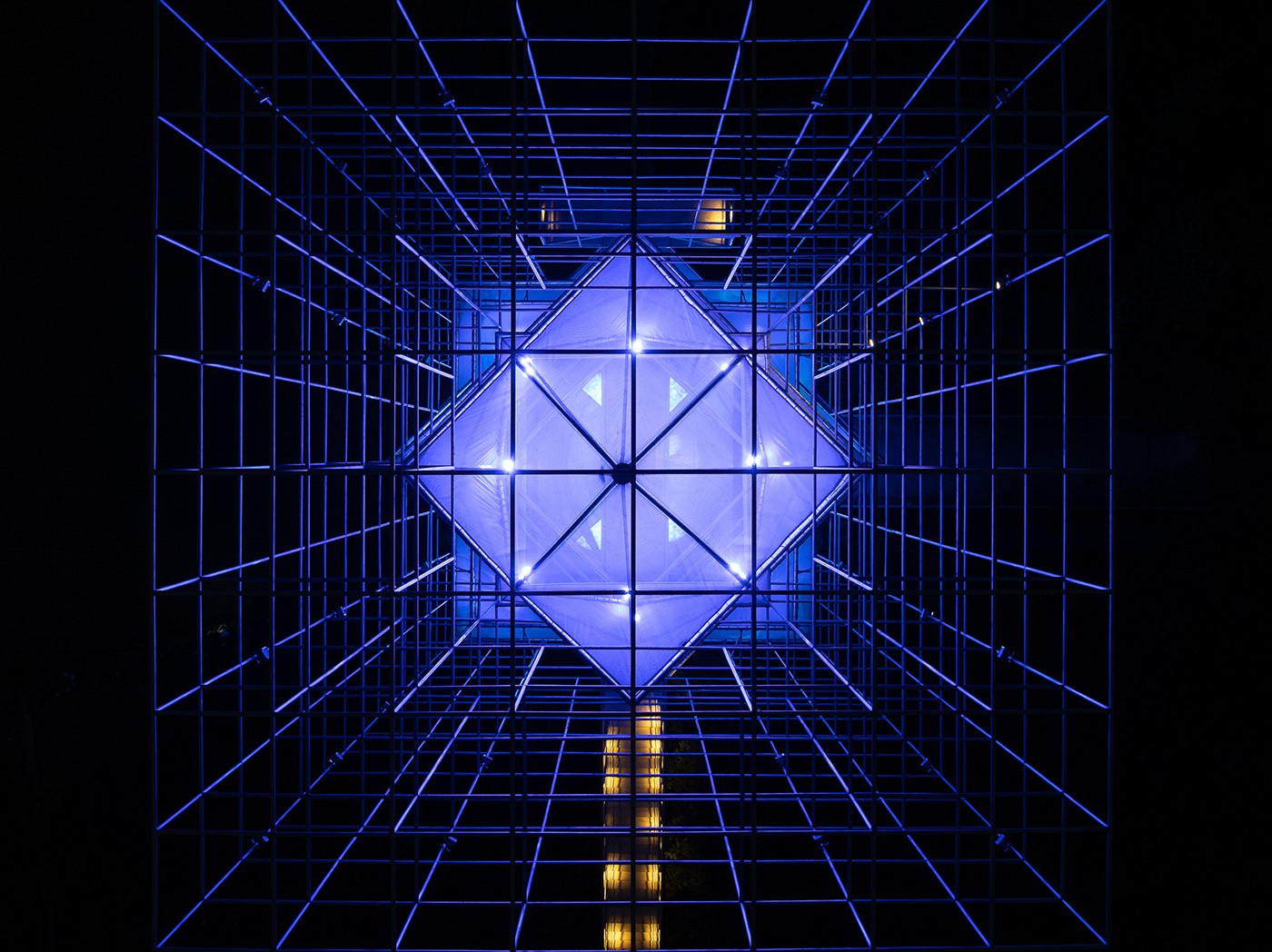 人造树 · 吕晓斌-15