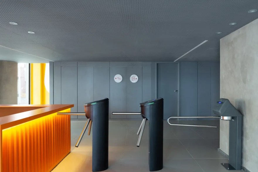 丨巴西伯南布哥-50