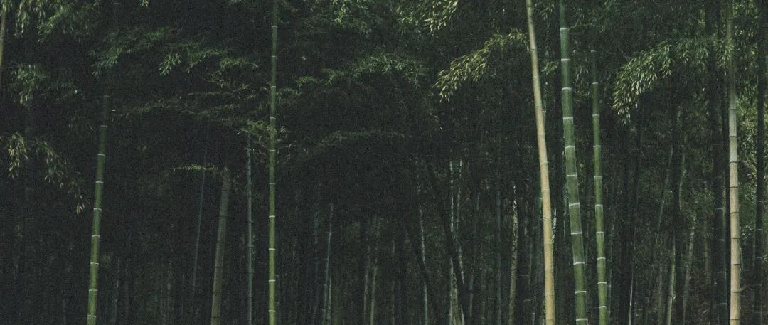 YANJISTUDIO|静谧的奢侈-17