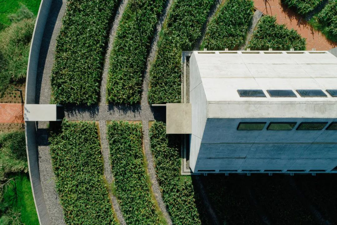 江小白的一亩三分地丨中国重庆丨未韬建筑设计事务所-165